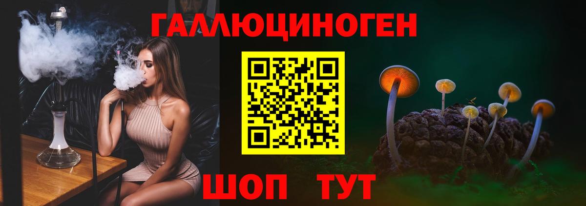 Златоуст  дарнет шоп  Псилоцибиновые грибы Psilocybe  Вход с VPN  Псилоцибиновые грибы ЛСД 